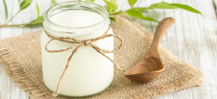 probiotics for immune system health - Featured Image