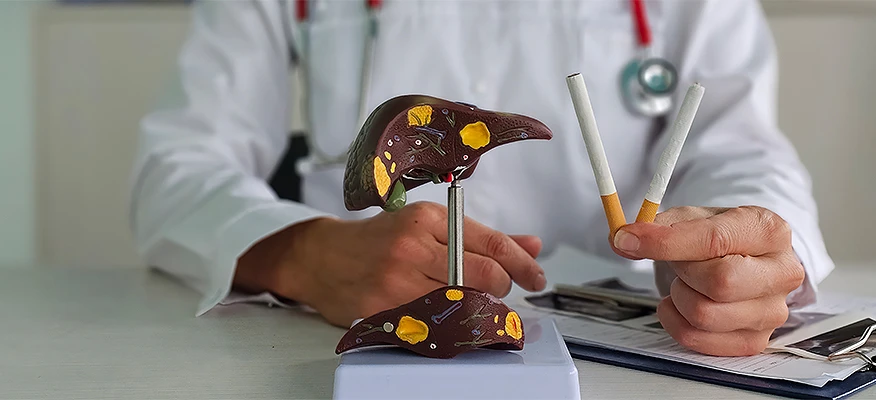 Smoking and Liver Damage: Effects, Risks & Recovery