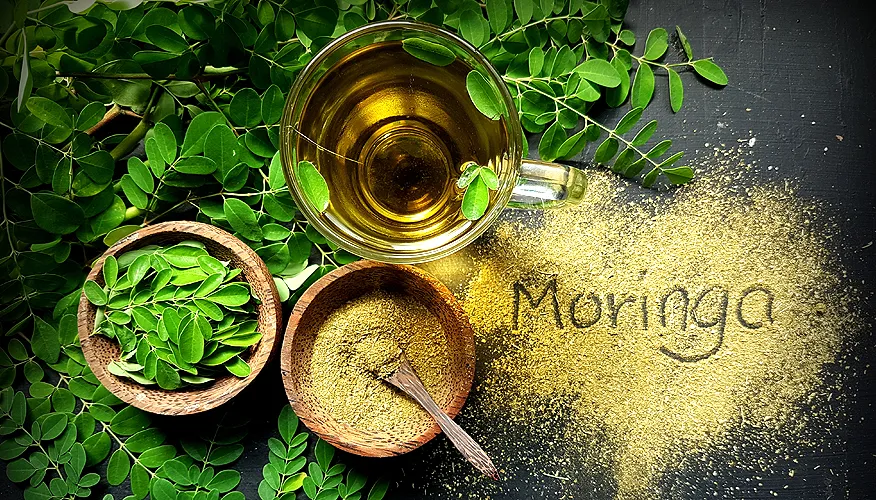 Moringa Tea