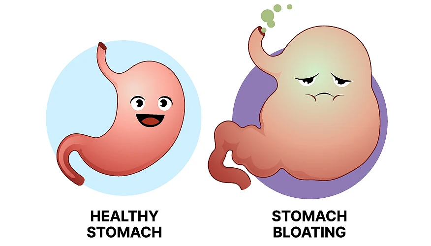 How Probiotics Work on the Skin
