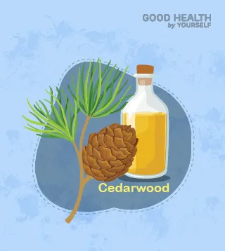 Cedarwood